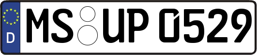 MS-UP0529