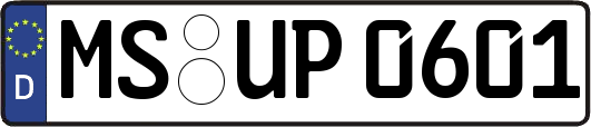 MS-UP0601