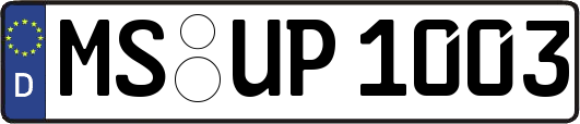 MS-UP1003