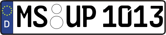 MS-UP1013