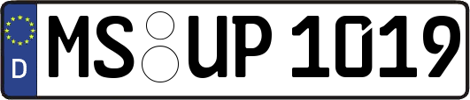 MS-UP1019