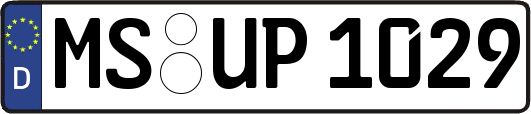 MS-UP1029