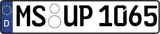 MS-UP1065