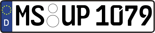MS-UP1079