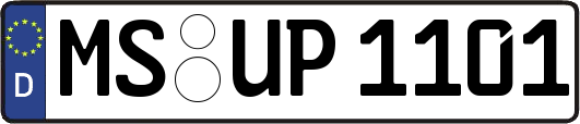 MS-UP1101