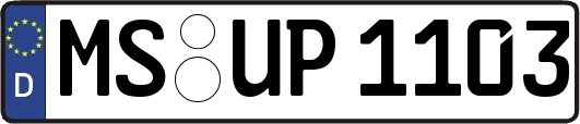 MS-UP1103