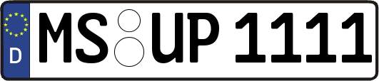 MS-UP1111