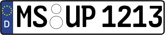 MS-UP1213