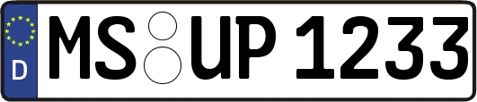 MS-UP1233