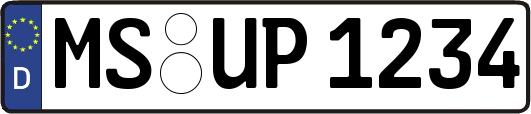 MS-UP1234