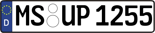 MS-UP1255