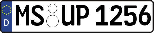 MS-UP1256