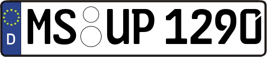 MS-UP1290