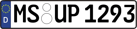 MS-UP1293