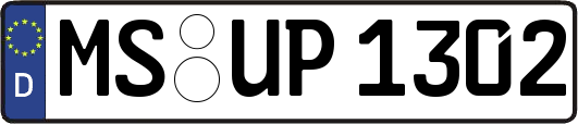 MS-UP1302