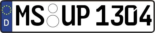 MS-UP1304