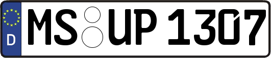 MS-UP1307