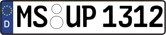 MS-UP1312