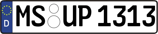 MS-UP1313