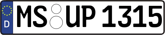 MS-UP1315