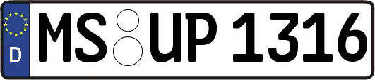 MS-UP1316