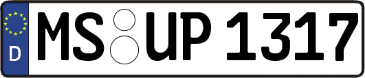 MS-UP1317