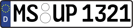 MS-UP1321
