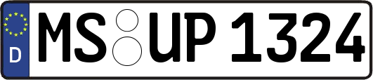MS-UP1324