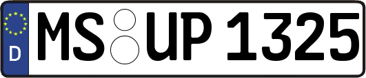 MS-UP1325