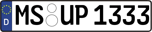 MS-UP1333