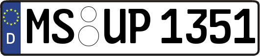 MS-UP1351