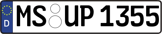 MS-UP1355