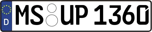 MS-UP1360