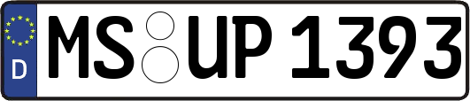 MS-UP1393