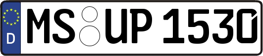 MS-UP1530