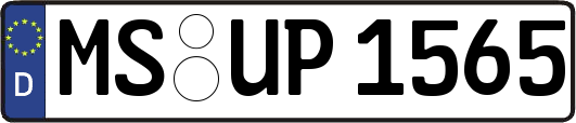 MS-UP1565