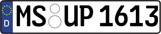 MS-UP1613