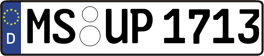 MS-UP1713