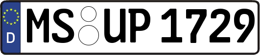 MS-UP1729
