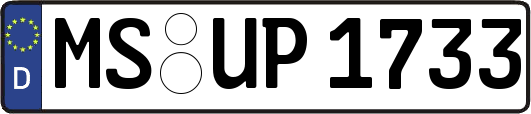 MS-UP1733