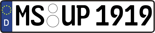 MS-UP1919