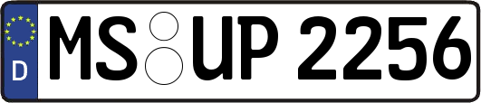 MS-UP2256