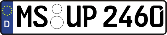 MS-UP2460