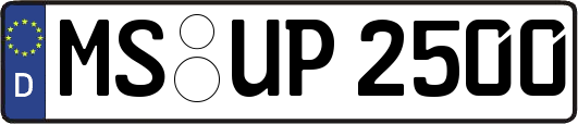 MS-UP2500
