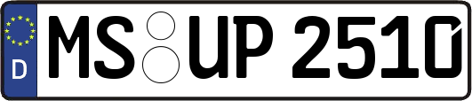 MS-UP2510