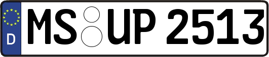 MS-UP2513