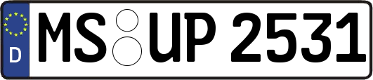 MS-UP2531
