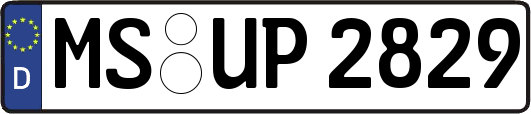 MS-UP2829