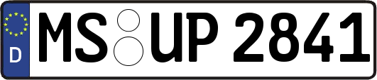 MS-UP2841