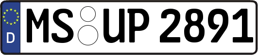 MS-UP2891